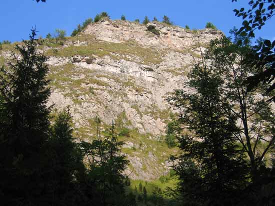 Beskid Gebirge Canyon