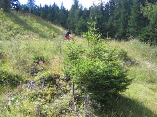 Anstieg zum Fernpass